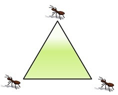 Three_ants_and_triangle_puzzle