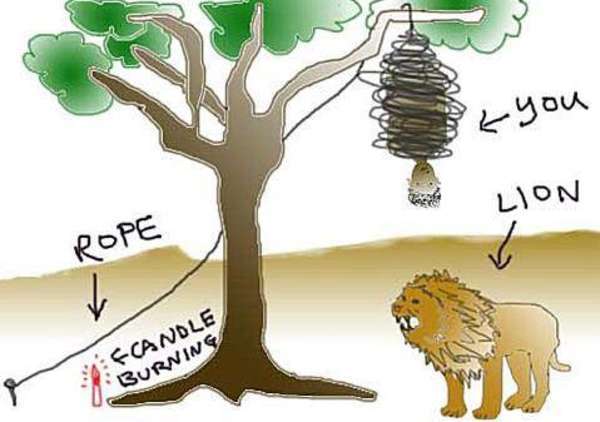 Lion Candle And You Survival Puzzle Puzzle Fry