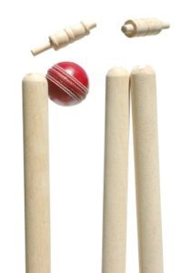 clean bowled cricket match puzzle