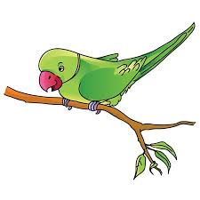 parrot-riddle