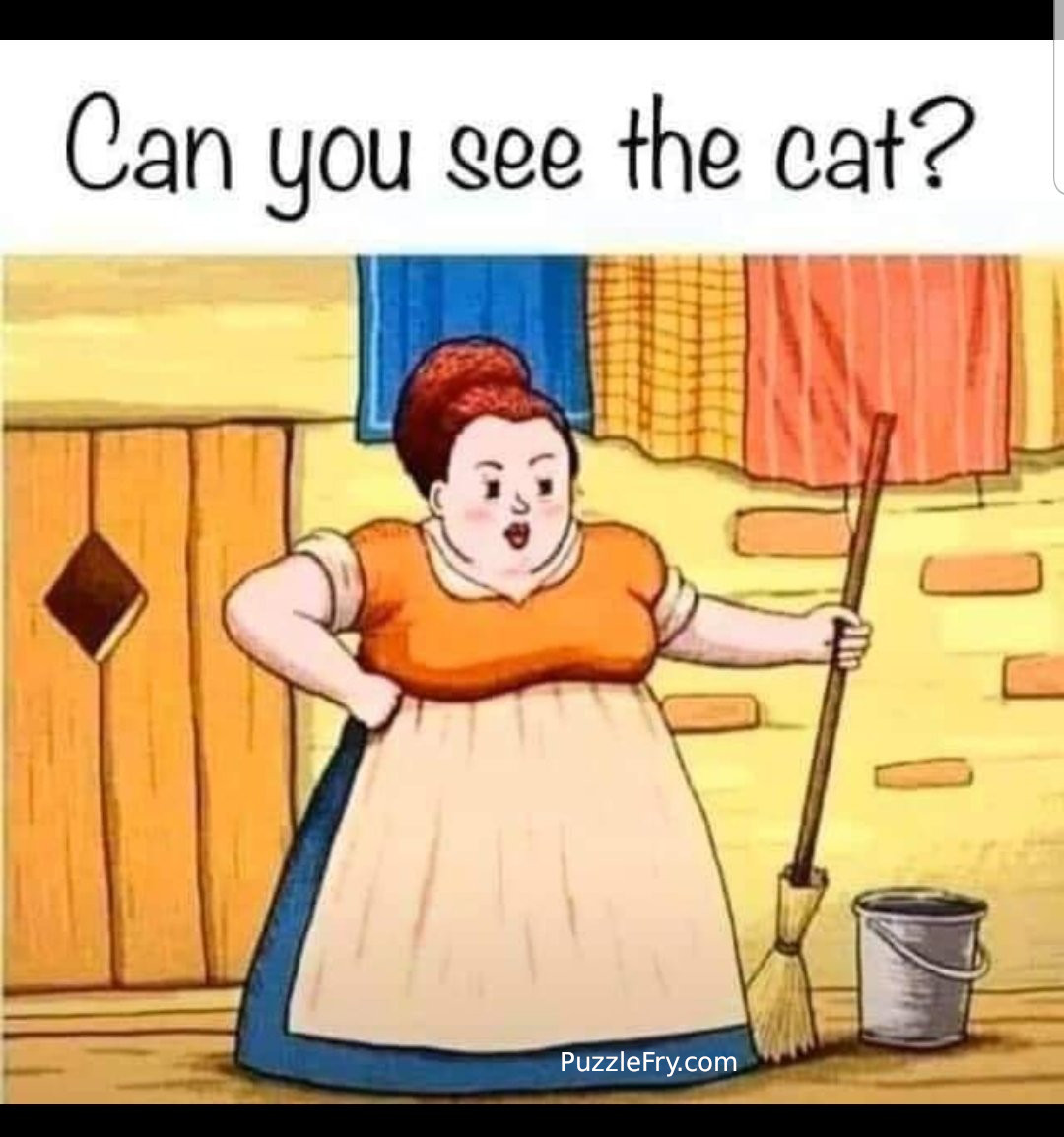 can-you-see-the-cat-puzzle-fry